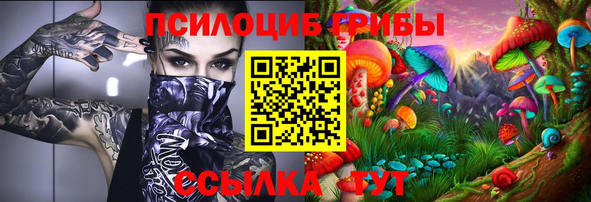 Псилоцибиновые грибы Cubensis Чита